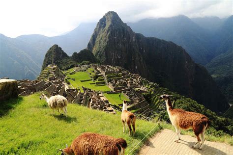 peru vacation packages all inclusive family